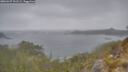 ./images/calvert/foggy-cove/20260427/foggy-cove20260427_121501M.jpg