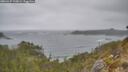 ./images/calvert/foggy-cove/20260427/foggy-cove20260427_122001M.jpg