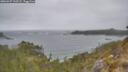 ./images/calvert/foggy-cove/20260427/foggy-cove20260427_122502M.jpg