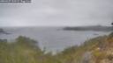 ./images/calvert/foggy-cove/20260427/foggy-cove20260427_123502M.jpg