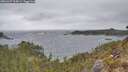 ./images/calvert/foggy-cove/20260427/foggy-cove20260427_125001M.jpg