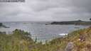./images/calvert/foggy-cove/20260427/foggy-cove20260427_130502M.jpg