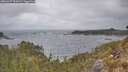 ./images/calvert/foggy-cove/20260427/foggy-cove20260427_131001M.jpg