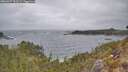 ./images/calvert/foggy-cove/20260427/foggy-cove20260427_131501M.jpg