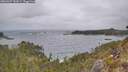 ./images/calvert/foggy-cove/20260427/foggy-cove20260427_132001M.jpg