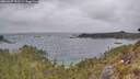 ./images/calvert/foggy-cove/20260427/foggy-cove20260427_132501M.jpg