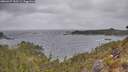 ./images/calvert/foggy-cove/20260427/foggy-cove20260427_133501M.jpg