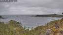 ./images/calvert/foggy-cove/20260427/foggy-cove20260427_134001M.jpg