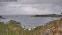 ./images/calvert/foggy-cove/20260427/foggy-cove20260427_134501M.jpg