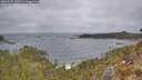 ./images/calvert/foggy-cove/20260427/foggy-cove20260427_135501M.jpg
