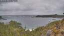./images/calvert/foggy-cove/20260427/foggy-cove20260427_140501M.jpg