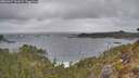 ./images/calvert/foggy-cove/20260427/foggy-cove20260427_141001M.jpg