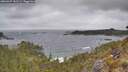 ./images/calvert/foggy-cove/20260427/foggy-cove20260427_141501M.jpg