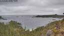 ./images/calvert/foggy-cove/20260427/foggy-cove20260427_142001M.jpg