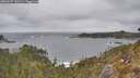 ./images/calvert/foggy-cove/20260427/foggy-cove20260427_142501M.jpg