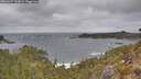 ./images/calvert/foggy-cove/20260427/foggy-cove20260427_143001M.jpg