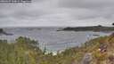 ./images/calvert/foggy-cove/20260427/foggy-cove20260427_144001M.jpg