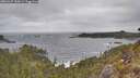 ./images/calvert/foggy-cove/20260427/foggy-cove20260427_144501M.jpg