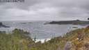 ./images/calvert/foggy-cove/20260427/foggy-cove20260427_145002M.jpg