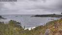./images/calvert/foggy-cove/20260427/foggy-cove20260427_145501M.jpg