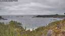 ./images/calvert/foggy-cove/20260427/foggy-cove20260427_153501M.jpg