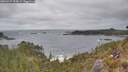 ./images/calvert/foggy-cove/20260427/foggy-cove20260427_154002M.jpg