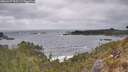 ./images/calvert/foggy-cove/20260427/foggy-cove20260427_155501M.jpg