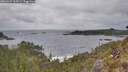 ./images/calvert/foggy-cove/20260427/foggy-cove20260427_160501M.jpg
