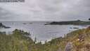 ./images/calvert/foggy-cove/20260427/foggy-cove20260427_162001M.jpg