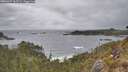 ./images/calvert/foggy-cove/20260427/foggy-cove20260427_162501M.jpg