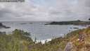 ./images/calvert/foggy-cove/20260427/foggy-cove20260427_163501M.jpg