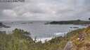 ./images/calvert/foggy-cove/20260427/foggy-cove20260427_164001M.jpg