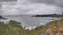 ./images/calvert/foggy-cove/20260427/foggy-cove20260427_170501M.jpg
