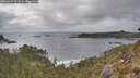 ./images/calvert/foggy-cove/20260427/foggy-cove20260427_171501M.jpg