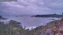 ./images/calvert/foggy-cove/20260428/foggy-cove20260428_060501M.jpg