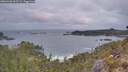 ./images/calvert/foggy-cove/20260428/foggy-cove20260428_062502M.jpg
