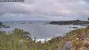 ./images/calvert/foggy-cove/20260428/foggy-cove20260428_063001M.jpg