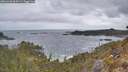 ./images/calvert/foggy-cove/20260428/foggy-cove20260428_064501M.jpg