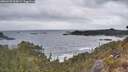 ./images/calvert/foggy-cove/20260428/foggy-cove20260428_065001M.jpg