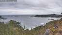 ./images/calvert/foggy-cove/20260428/foggy-cove20260428_065501M.jpg