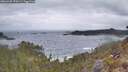 ./images/calvert/foggy-cove/20260428/foggy-cove20260428_070501M.jpg