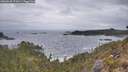 ./images/calvert/foggy-cove/20260428/foggy-cove20260428_071001M.jpg