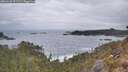 ./images/calvert/foggy-cove/20260428/foggy-cove20260428_071501M.jpg