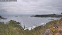 ./images/calvert/foggy-cove/20260428/foggy-cove20260428_072001M.jpg