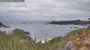 ./images/calvert/foggy-cove/20260428/foggy-cove20260428_073002M.jpg