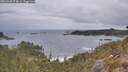 ./images/calvert/foggy-cove/20260428/foggy-cove20260428_074002M.jpg
