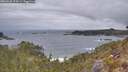 ./images/calvert/foggy-cove/20260428/foggy-cove20260428_074501M.jpg