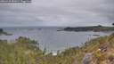 ./images/calvert/foggy-cove/20260428/foggy-cove20260428_082001M.jpg