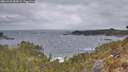 ./images/calvert/foggy-cove/20260428/foggy-cove20260428_083001M.jpg