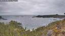 ./images/calvert/foggy-cove/20260428/foggy-cove20260428_083501M.jpg
